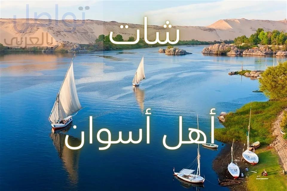 نهر النيل في أسوان -  شات أهل أسوان